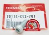 OEM Honda Socket Bolt 8MM Front Fork - RD04/07/07A (1990 - 03)