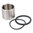 Brake Caliper FRONT LOWER Piston And Seal Kit - CRF1000 (all models)