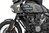 Stainless Steel Crash Bars - Black - Harley-Davidson RA1250 Pan America
