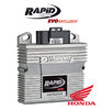 RapidBike EVO EXCLUSIV for Honda CRF1100 (all models)