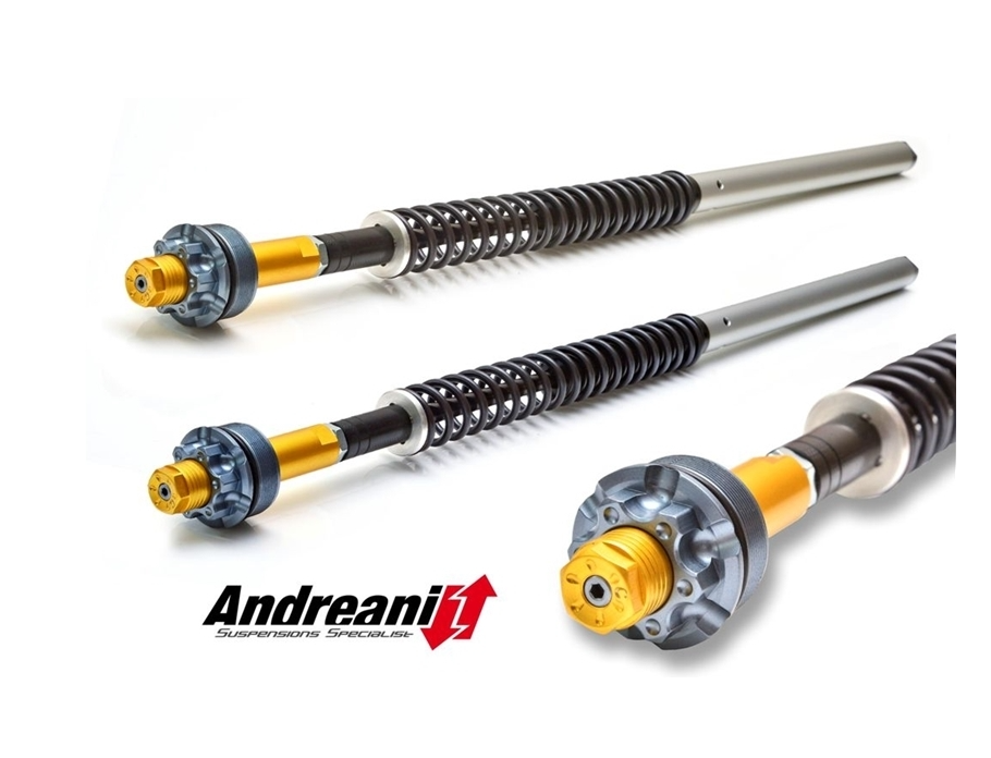 "Misano" Fork Cartridge Kit - XRV750 Africa Twin RD07A - (96 -03)