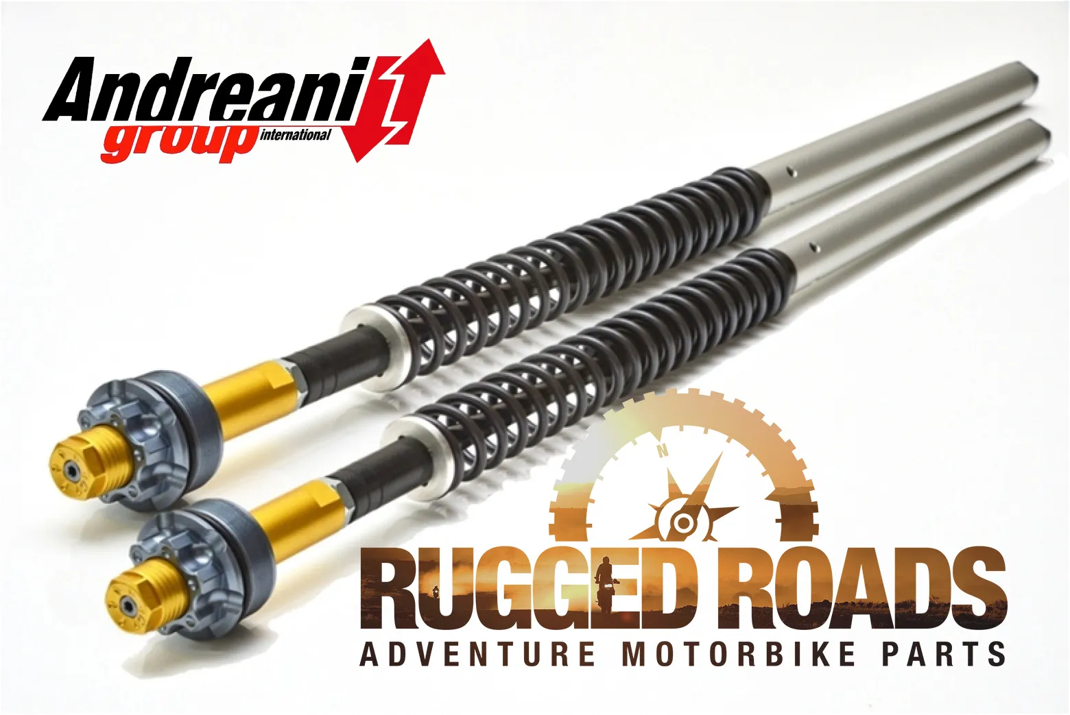 Andreani Hydraulic Fork Cartridge Kit - CRF1000 (2016-2019)
