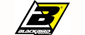 Blackbird-Logo