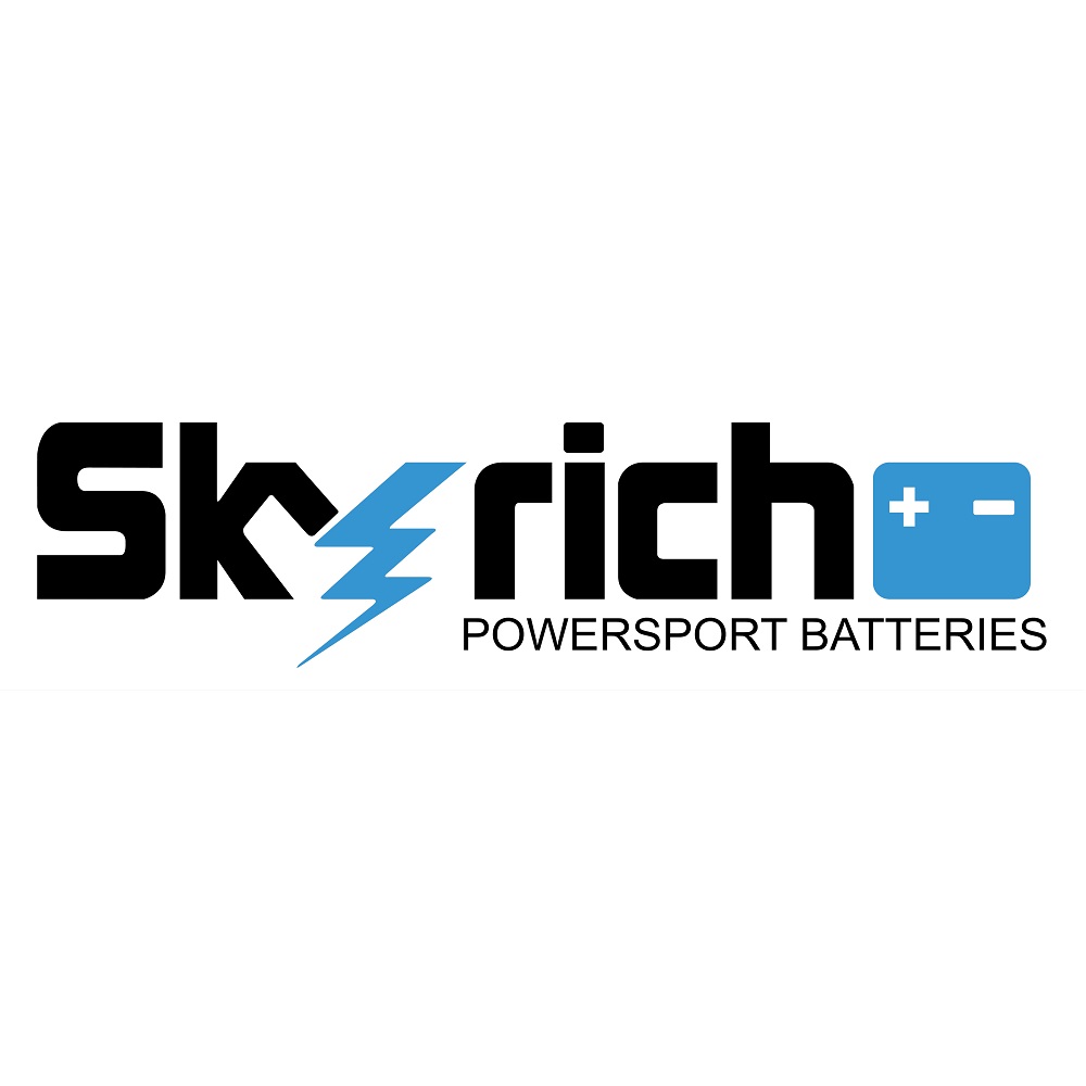 Skyrich Batteries