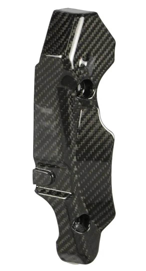 Carbon Fibre Generator Guard - CRF1000 (2016>)
