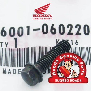 OEM Honda Flange Bolt 6X22 Front Brake Reservoir - RD03/04/07/07A (1988 - 03)