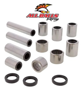 27-1210 - Linkage Bearing Kit - CRF1100